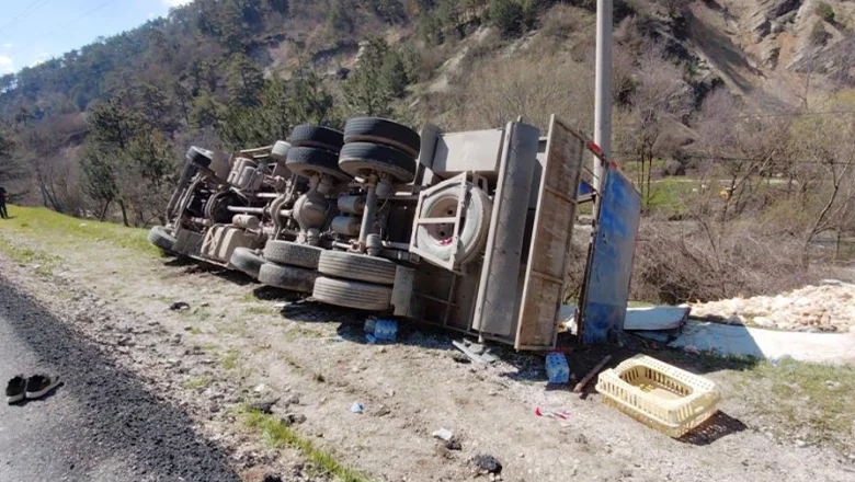 Kamyon devrildi; Tavuklar telef oldu