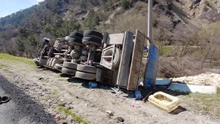 Kamyon devrildi; Tavuklar telef oldu