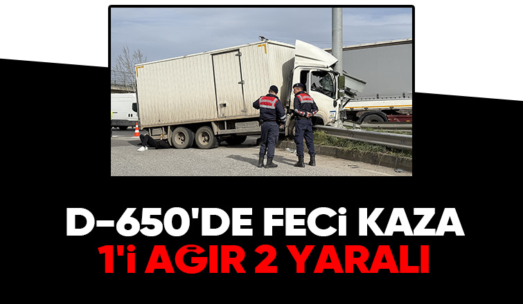 Kamyon direğe çarptı: 2 yaralı