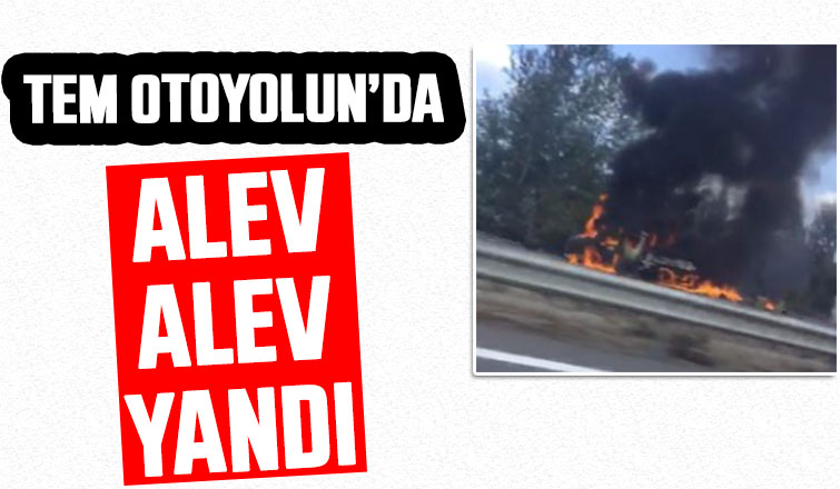 Kamyonet alev alev yandı