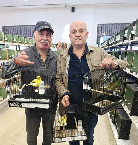 Kanarya yarışmasında Sakarya'ya iki birincilik