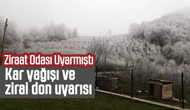 Kar yağışı ve zirai don uyarısı 