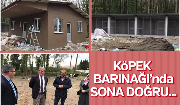 Köpek Barınağında Sona Doğru