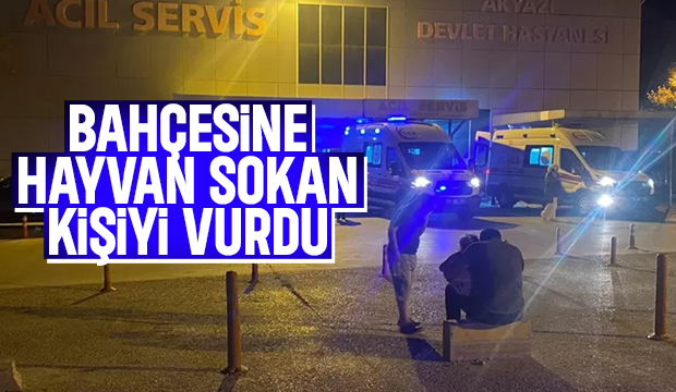 Bahçesine hayvan sokan kişiyi vurdu