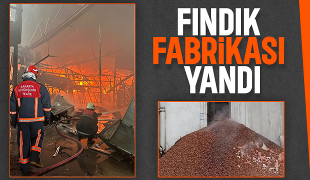 Karasu'da fındık fabrikası alev alev yandı