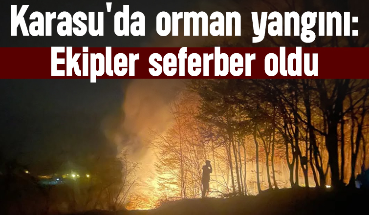 Karasu'da orman yangını