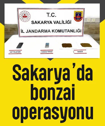 Karasu'da uyuşturucu operasyonu