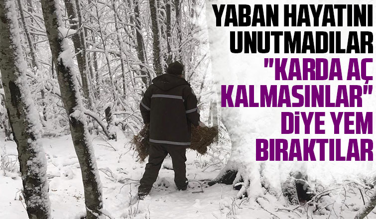 Karda aç kalmamaları için ormana yemler bırakıldı