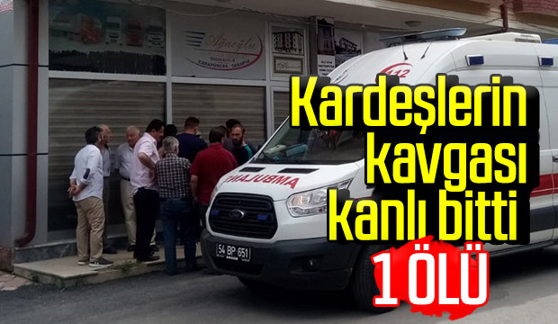 Kardeşlerin kavgası cinayetle bitti