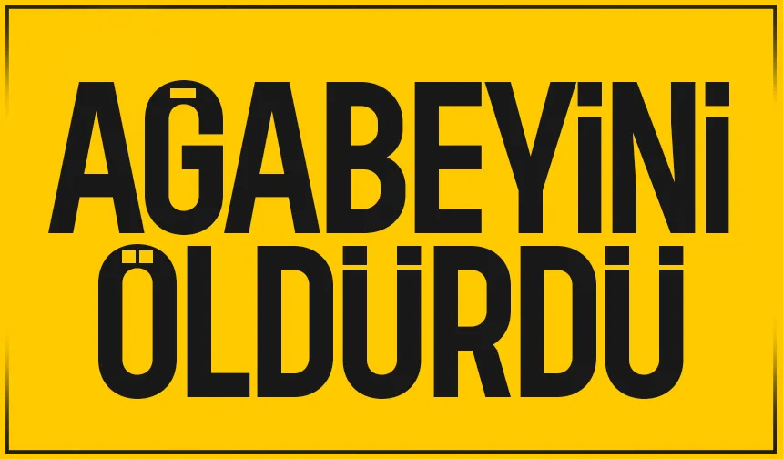 Kardeşlerin kavgası cinayetle bitti