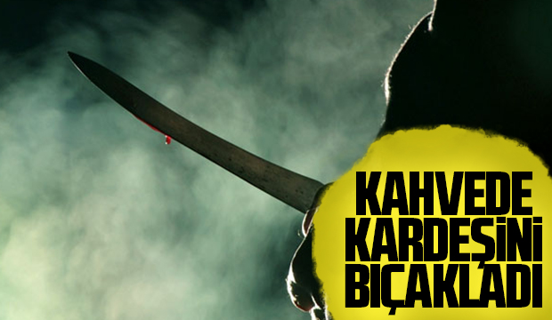 Kardeşlerin kavgası kanlı bitti