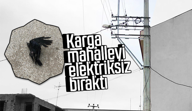 Karga Mahalleyi Elektriksiz Bıraktı