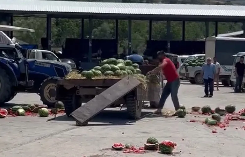 Karpuz para etmedi üretici isyan etti