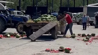 Karpuz para etmedi üretici isyan etti