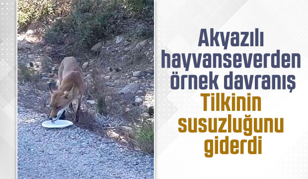 Karşısına çıkan tilkiye su verdi