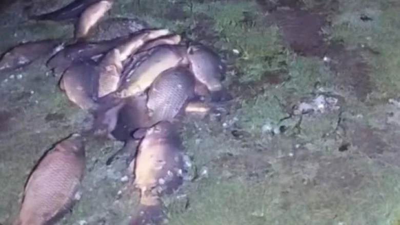 Katliamı jandarma önledi