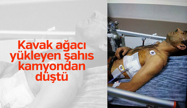 KAVAK AGAÇI YÜKLERKEN ARAÇTAN DÜŞTÜ