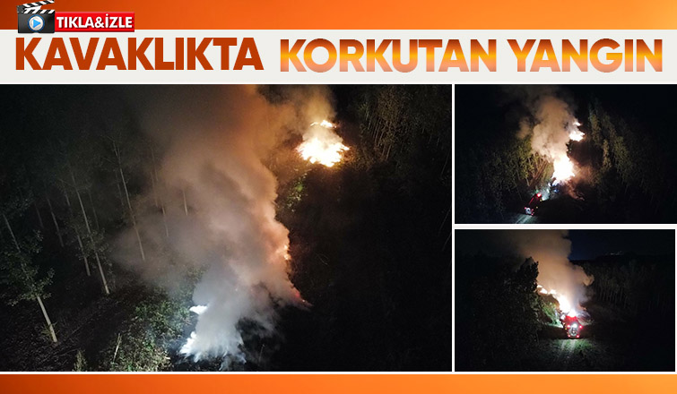Kavaklıkta yangın