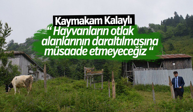 Kaymakam Kalaylı Mera İşgaline İzin Vermiyor