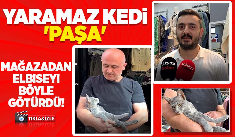 Kedi mağazadaki elbiseyi götürdü