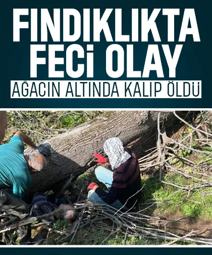 Kesilen ağacın altında kalıp öldü
