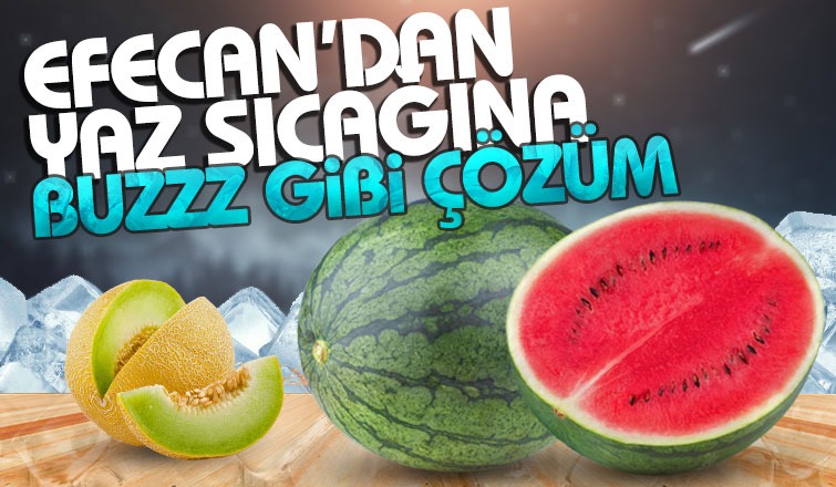 Kesmece Karpuz'da Şok Fiyat