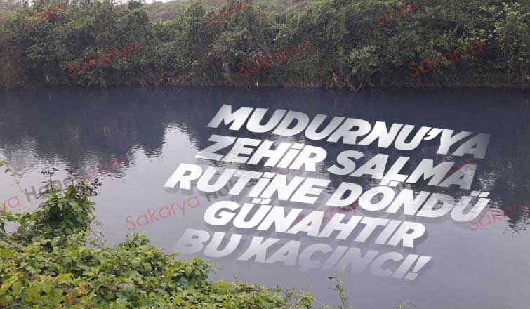 Kirliliği takan yok, Mudurnu'ya yeniden zehir saldılar