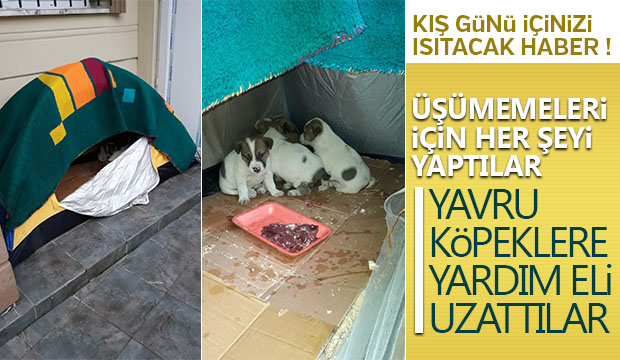 Kış günü içinizi ısıtacak haber