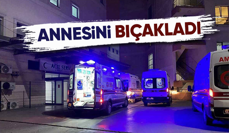 Kızının bıçakladığı kadın yaralandı