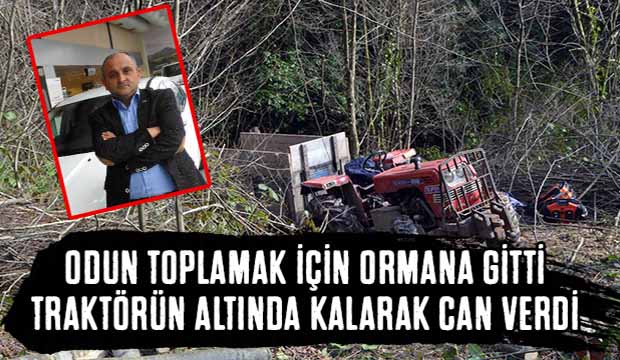 Kocaali'de feci kaza