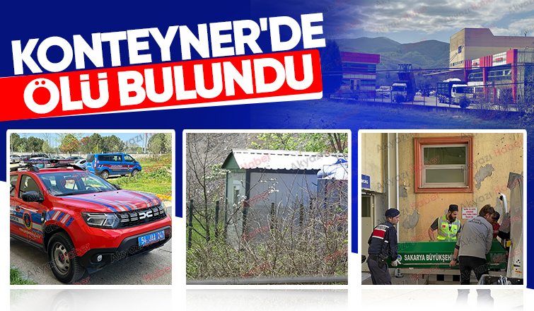 Konteynerde kalan şoför ölü bulundu 