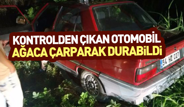Kontrolden çıkan otomobil ağaca çarptı