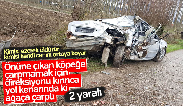 Kontrolden Çıkan Otomobil Ağaca Girdi