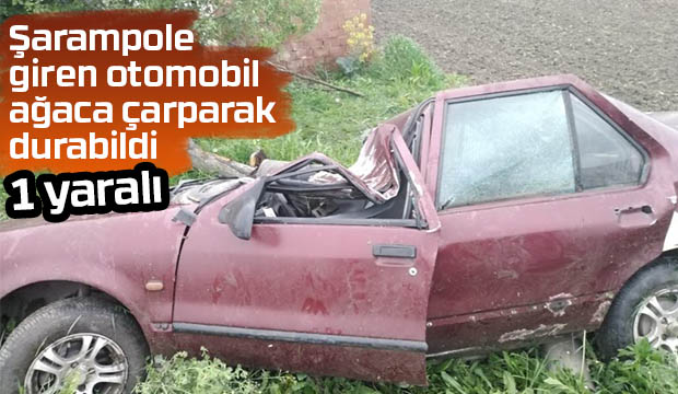 Kontrolden çıkan otomobil şarampole girdi