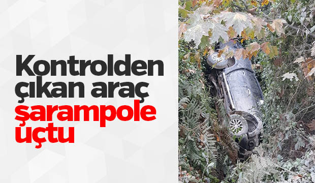 Kontrolden Çıkan Pikap Şarampole Uçtu