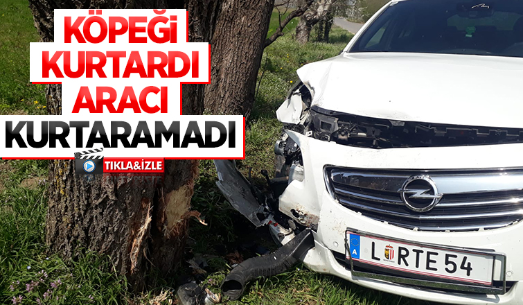 Köpeğe çarpmamak için kaza yaptı