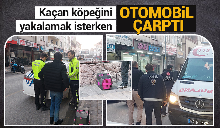 Köpeği kurtarayım derken canından olacaktı