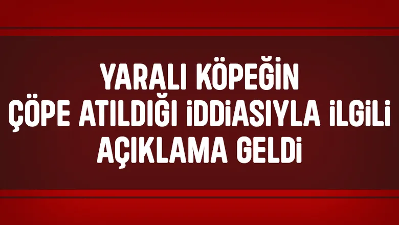 Köpek çöpe atılmıştı, yeni gelişme