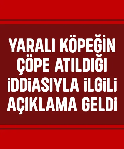 Köpek çöpe atılmıştı, yeni gelişme