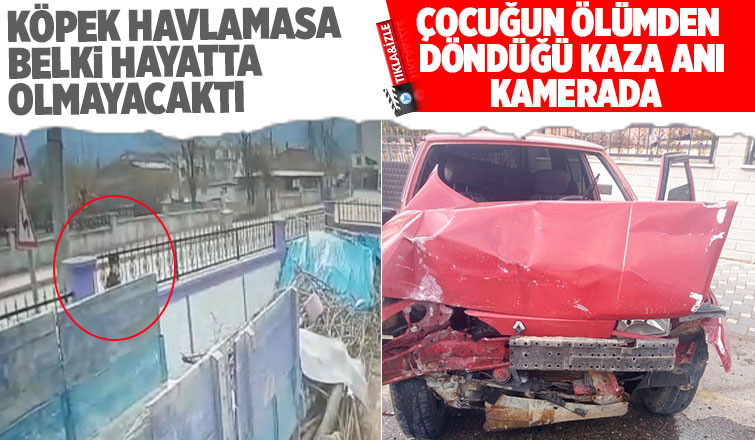 Köpek havladı hayatı kurtuldu