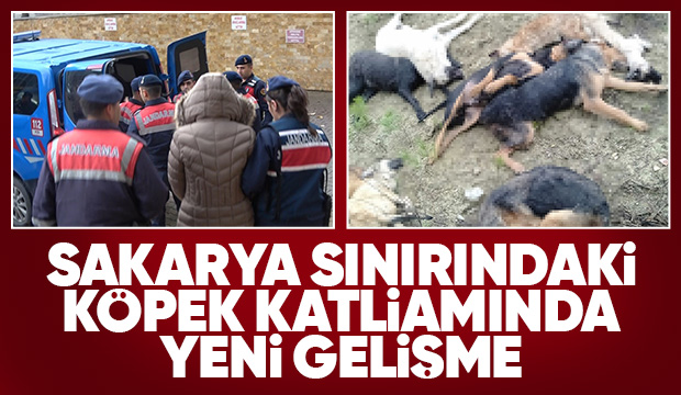 Köpek katliamında 4 kişiye tahliye