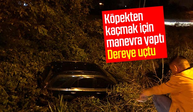 Köpekten kaçmak İçin manevra yaptı Dereye uçtu