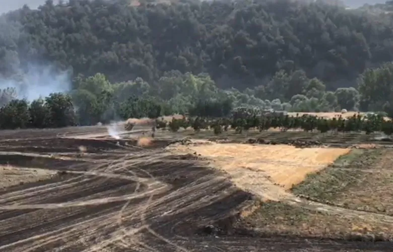 Korkutan yangın