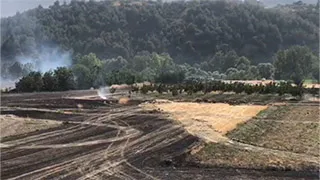 Korkutan yangın