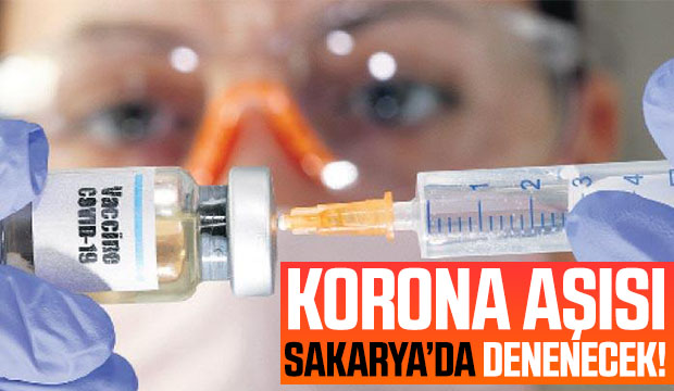 Korona aşısı için Sakarya'da 100 denek aranıyor