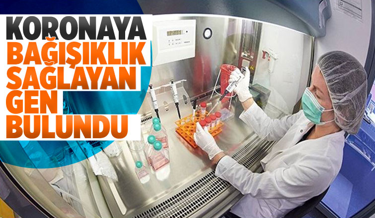 Koronaya bağışıklık sağlayan gen bulundu