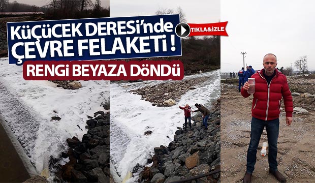 Küçücek Deresinde çevre felaketi