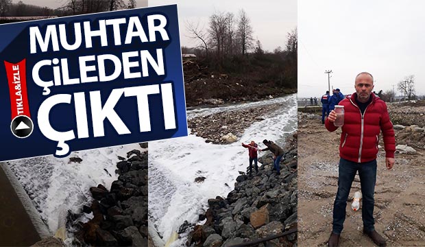 Küçücek Deresinde çevre felaketi