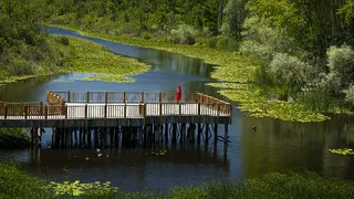 Kültür Yolu Festivali’nin Sakarya takvimi açıklandı