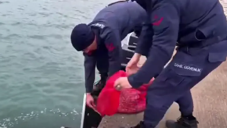 Kum şırlanı avcılarına operasyon